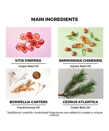 benatu Cedar Wood Perfume Oil Roll On for Men Alcohol Free Eau de Parfum Travel Size Essential Oil Body Fragrance Concentrated Warm Woody Scent 10 ml - Buy Online on GoSupps.com