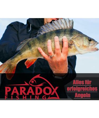 Buy Paradox Fishing Drop Shot Lead Set | 25 Pieces (3.5g/5g/7g/10g/14g) with Box | High-Quality Fishing Weights for Drop Shotting - Ideal for Anglers - Buy Online on GoSupps.com