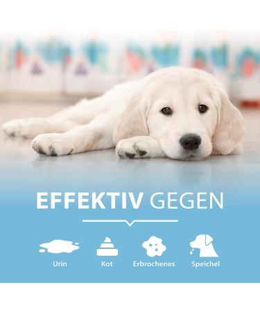 Arka Pipi - Weg Dog 750ml | Effective Stain & Odor Remover for Dog Urine Feces Vomit & Saliva on Carpets & Cushions - International Shipping - Buy Online on GoSupps.com