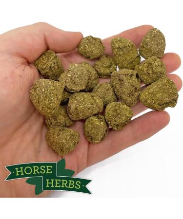 Horse Herbs Herb Crunchies - Natural Horse Treats with Mint. Nettle & Garlic (1.5kg) 1.5 kg (Pack of 1) - Buy Online on GoSupps.com