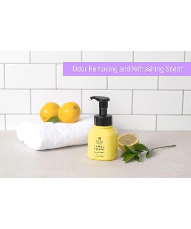 OBED Natural Foaming Hand Soap - Lemon Extract, Hydrating Moisturizing Hand Wash - 10.15 fl oz Pump Bottle - Odor Eliminator - Pack of 1 - Buy Online on GoSupps.com