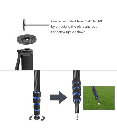 Neewer Carbon Fiber Monopod 5 Sections 19-64 inches Adjustable Stand for DSLR Cameras - Black + Blue - Buy Online on GoSupps.com