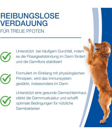 Nutrilabs Colofor Powder for Dogs 400g - Nutritional Supplement for Dog Diarrhea with Bentonite L-Glutamine & Prebiotics - Former Estifor Powder - Buy Online on GoSupps.com