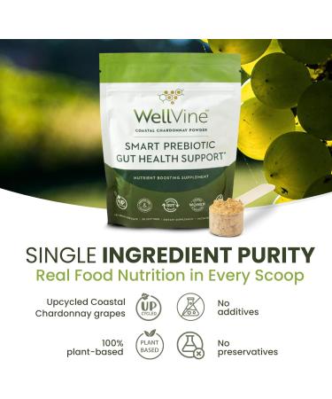 WellVine Premium Smart Prebiotic Gut Health Supplement Powder for Men & Women | Digestive Support & Gut Health With 100% Upcycled Chardonnay Grapes | Plant-Based Gluten and Allergen-Free | 4.75Oz - Buy Online on GoSupps.com