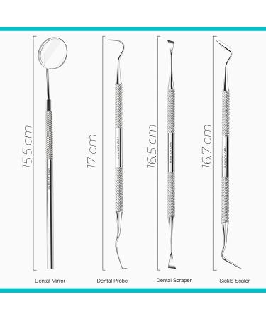 Dental Pick Set - Stainless Steel Teeth Cleaning Tools for Oral Care & Whitening - Buy Online on GoSupps.com