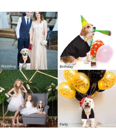 Black Dog Tuxedo Costume with Bow Tie for Halloween, Wedding, and Parties - Medium Size - Buy Online on GoSupps.com