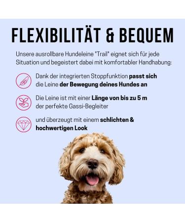 Buy Cong Roll-Out Dog Leash 5m for Large Dogs Up to 50kg - High-Quality Compact Black with Break & Lock System - Buy Online on GoSupps.com