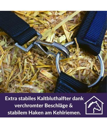 Buy Halfer XXFull Cold Blood Horse Halter - Adjustable 2 Compartment Halters in Black & Blue for Stable Use - Buy Online on GoSupps.com