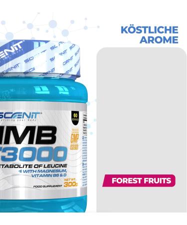 HMB XT 3000 - Enhanced HMB Powder Supplement with Glutamine Magnesium Vitamin B6 & D - Delicious Forest Fruits Flavor - 3000 mg HMB for Optimal Performance - Buy Online on GoSupps.com