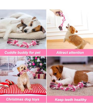 Durable Braided Cotton Rope Pet Toy for Teeth Cleaning - Pink - Buy Online on GoSupps.com