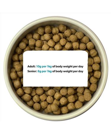 Burns Pet Nutrition Hypoallergenic Complete Dry Dog Food Adult and Senior Dog Original Chicken and Brown Rice 12 kg Chicken 12 kg (Pack of 1) - Buy Online on GoSupps.com
