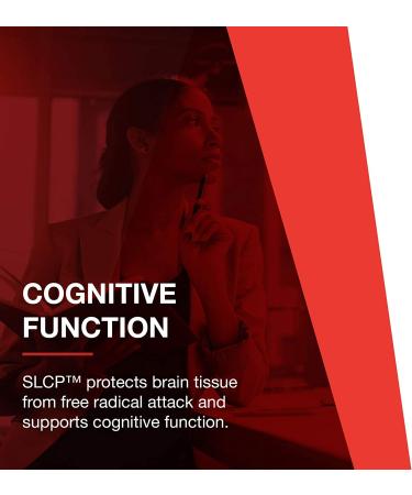 Protocol for Life Balance Curcumin SLCP 400 mg - 50 Veg Capsules for Joint Health & Inflammation Support - Buy Online on GoSupps.com