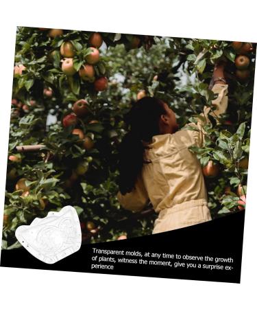 Kisangel 2pcs Ingot Shaped Mold Vegetables Cucumber Mold Fruit Growing Shaper Gardening Supplies Stereotypes - Buy Online on GoSupps.com