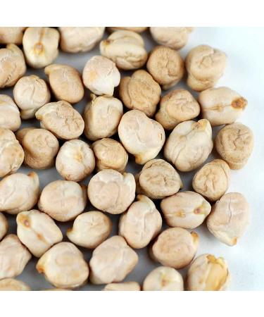 Organic Dried Garbanzo Beans 1 Lb - Handy Pantry Brand - for Sprouting, Planting, Cooking - Hummus, Gardening, Food Storage - Sprouts Seed - Buy Online on GoSupps.com