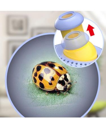 Critter Viewer | Critter Catcher for Kids | Insect Cage with Concealed Handle Clear Close Look for Early Education Children Camping Trips Outdoor Indoor Surveys Aezon - Buy Online on GoSupps.com