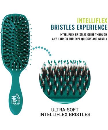 Wet Brush Pet Brush Smooth & Shine Teal - BPET833TEAL - Buy Online on GoSupps.com