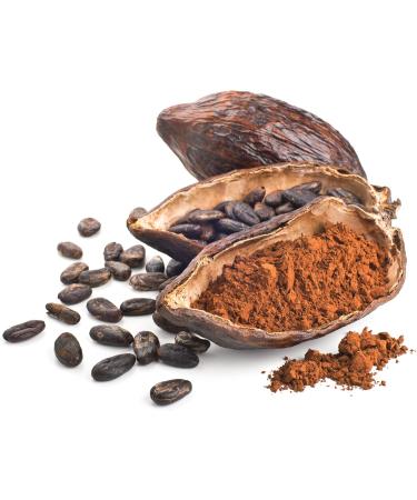 Wellness Cacao Powder Regenerative Natural Certified Non-GMO Baking Cocoa Powder Experience the Pure Indulgence of 100% Natural Perfect for Keto and Paleo Diet Fair Trade Natural Unsweetened Cacao Powder Gluten-Free 907 gr - 2 lb' - Buy Online on GoSupps.com