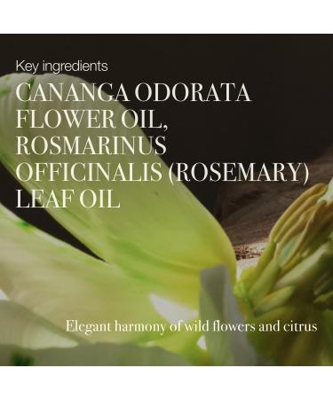 TOUN28 Body Lotion - 10.58 oz Intensive Moisturizing Care for All Skin Types | Spicy & Wood Scent - Shop Worldwide - Buy Online on GoSupps.com