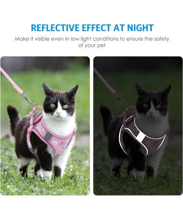 BriFit Cat Dishes with 150cm Leash - High Quality Breakfast Set for Cats & Small Dogs (Pink XS) - Perfect for Pets 6.61-1lb - Buy Online on GoSupps.com
