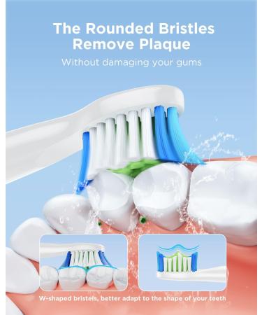 Buy 4 Replacement Heads for Bitvae Sonic Toothbrush Daily D2 Enhanced Oral Care International Shipping Available - Buy Online on GoSupps.com