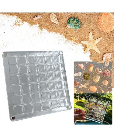 ARVALOLET Acrylic Organizer with Magnetic Closure 36/64/100 Grids for Stones Beads and Nail Jewelry 36grids - Buy Online on GoSupps.com