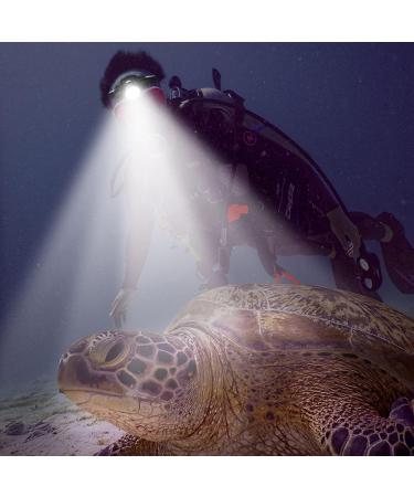 High-Performance Waterproof Diving Light - 10W 1000LM Aluminum Alloy Flashlight with IPX68 Rating & 5 Modes for Underwater Fishing & Cave Exploration - Buy Online on GoSupps.com