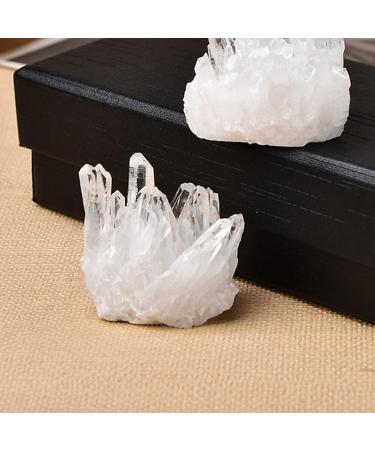 Natural Crystal Rough Natural Crystal Cluster Raw Quartz White Clear Quartz s Gem Reiki Specimen Home Decoration Raw Gifts (Color : Random Delivery Size : 10-20g) 10-20g Random Delivery - Buy Online on GoSupps.com