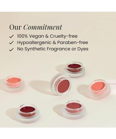 BEIGIC Volumizing PE Lip Balm & Mask - Vegan Overnight Lipcare Reduces Lip Fine Lines & Flakiness Plumps & Hydrates for Smooth Lips (0.49 fl.oz) - Buy Online on GoSupps.com