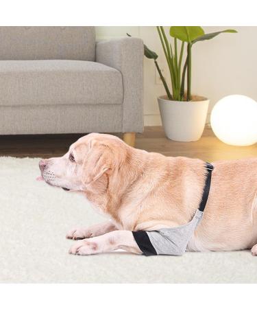 Dog Canine Front Leg Brace | Pair of Dog Leg Brace | Supportive Joint Wrap Pet Wounds Prevent Licking Bite Keep Dry Deyao Grey Small - Buy Online on GoSupps.com