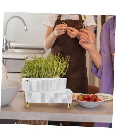 BUGUUYO Box Plastic Drawer Egg Container for Refrigerator Household Egg Container Carton High re-usable White 26.5X16X10CM - Buy Online on GoSupps.com