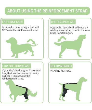 Dog Knee Brace Pet Supplies Dog ACL Knee Brace for Pet Recovery Dog Leg Braces Adjustable Dog Rear Leg Braces for Support with Cruciate Ligament Injury Dysplasia Osteoarthritis (S) - Buy Online on GoSupps.com