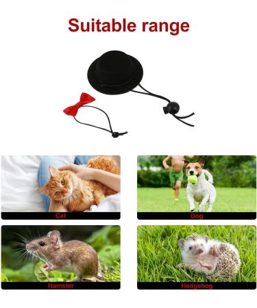 POPETPOP Guinea Pig Outfit Hamster Hat and Bowtie Set - Small Animal Costume for Parties and Festivals - Perfect for Rats, Sugar Gliders, Rabbits, Chinchillas, Ferrets, and Cats - Black - Buy Online on GoSupps.com