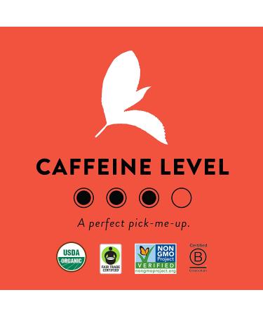 Choice Organics Organic English Breakfast Tea - Fair Trade - Compostable - 16 Black Tea Bags (Pack of 1) - Buy Online on GoSupps.com