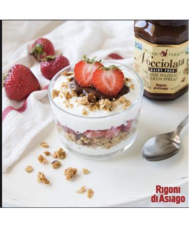 Rigoni di Asiago Nocciolata Organic Hazelnut Spread Dairy Free 9.52 oz (6 Count) | Buy Now - Buy Online on GoSupps.com