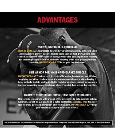 Mutant BCAA 9.7 Powder - Micronized Amino & Electrolytes Fruit Punch 348g | International Shipping Available - Buy Online on GoSupps.com