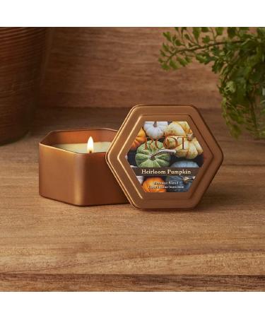 Root Candles Fall Scented Travel Tin - 24-Hour Honeycomb Beeswax Heirloom Pumpkin Candle 4-Ounce | Shop Internationally - Buy Online on GoSupps.com