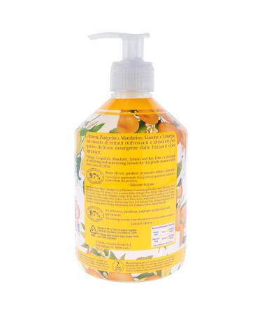 L'Erbolario Hand and Body Cleanser - Citrus Fresh Foam Silicone & Paraben Free - Soft & Clean Skin for All Types - 16.9 oz - Daily Use Body Wash - Buy Online on GoSupps.com