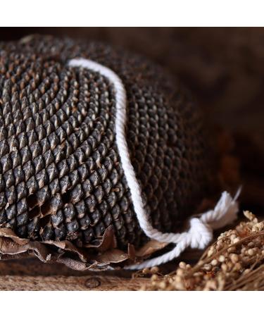 WachtelGold Sunflower Head - 1 Piece: Ideal Enrichment for Quails - Shop Internationally - Buy Online on GoSupps.com