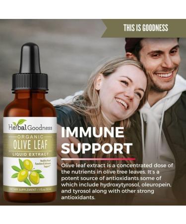 Herbal Goodness Olive Leaf Extract Liquid 1oz - for Immune Boost Cadiovascular Support Cognitive Wellbeing Improved Skin Health and Digestive Comfort with Antioxidants - 1 Bottle 1 Fl Oz (Pack of 1) - Buy Online on GoSupps.com