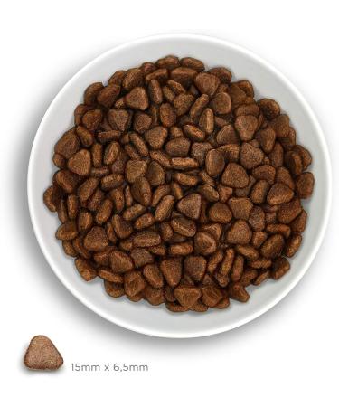 Amanova Super Premium Croquettes for Adult Dogs with Sensitive Stomach with Rabbit Flavor - 100% Natural Hypoallergenic and Monoprotein - Grain Free - Cruelty Free (10 Kg) - Buy Online on GoSupps.com