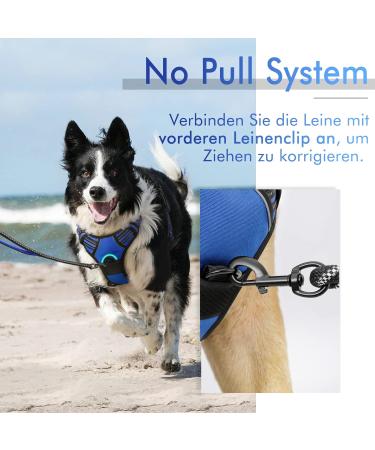 Rabbitgoo Dog Harness for Medium Dogs | No Pull Adjustable & Breathable | Safe Control Harness with Reflective Stripes | Blue (1 Pack) - Buy Online on GoSupps.com