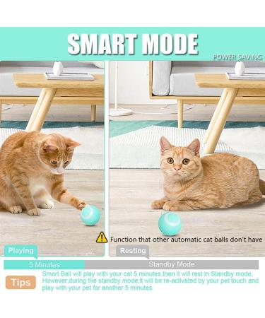 Speedy Panther Quiet Smart Cat Ball Toy Interactive Cat Toys for Indoor Cats Adult Automatic 360 Rotating Kitten Toys with LED Stimulate Hunting Instinct - USB Rechargeable - Buy Online on GoSupps.com