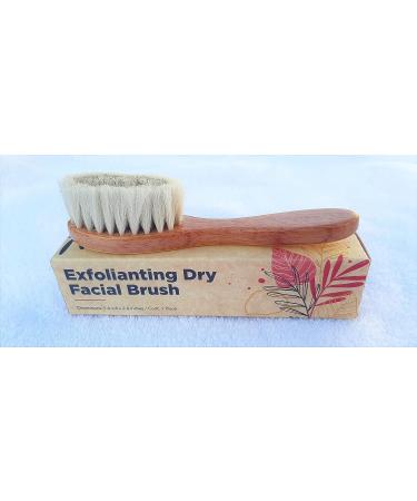 eBeyza Exfoliating Dry Facial Brush - Gentle Skin Exfoliation for a Radiant Glow - Buy Online on GoSupps.com