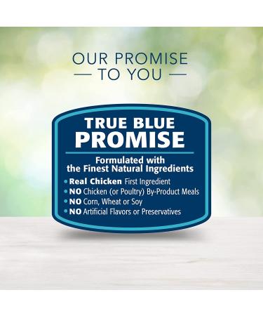 Blue Buffalo Freedom Grain Free Natural Indoor Adult Dry Cat Food Chicken 5lb - Single Pack - Buy Online on GoSupps.com