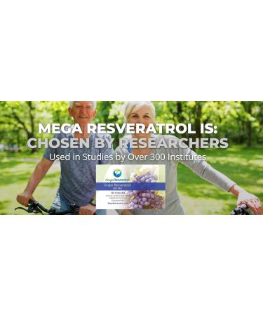 Mega Resveratrol Red Grape Skin Piceid Resveratrol Water-Soluble/High Absorption/Boosts Nitric Oxide. 500mg per Capsule. Purity Certified. NO Toxic inactive Ingredients. Keto Vegan Non-GMO. - Buy Online on GoSupps.com
