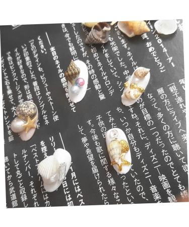 minkissy 1 Box Nail Art Decoration Nail Jewelry Shell Decor Conch Jewelry Nail Decorations for Nail Art Conch Shells Nail Decoration Nail Ornament 3d Nail Stickers Manicure - Buy Online on GoSupps.com