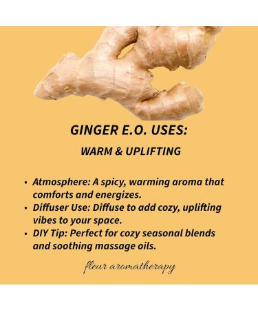Ginger Essential Oil 10ml 100% Pure Zingiber officinale Hydro-Diffused GC/MS Tested Warming & Clarifying Aroma Therapeutic Quality Fleur Aromatherapy - Buy Online on GoSupps.com