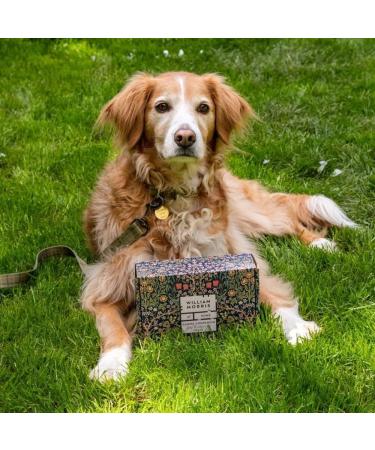 William Morris At Home Hand Cream 100ml Hand Warmer Poo Bag Paw Cloth 45g Paw Balm Calming Mist 150ml Great For Pet Lovers Makes A Great Gift For Dog Lovers Travel Size and Vegan Friendly - Buy Online on GoSupps.com