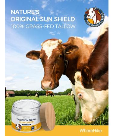 Stilip Beef Tallow Sunscreen Organic SPF 30 with Zinc Oxide,Non-Toxic 2-in-1 Moisturizer & Mineral Sunblock | Reef Safe, Chemical-Free,Lightweight, Clean Formula for Sensitive Skin. - Buy Online on GoSupps.com