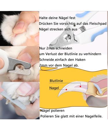 Buy CybgQP PET Claw Scissors Set for Dogs & Cats | Includes Nail Clippers Claw File & Flea Comb | Perfect for Rabbits & Small Pets - Buy Online on GoSupps.com
